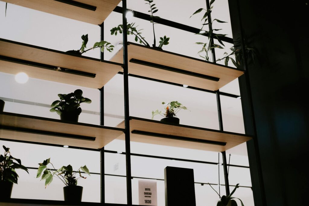 A multi-tier apartment plant shelf beside a bright window with plants spaced for airflow and drainage saucers under the pots.