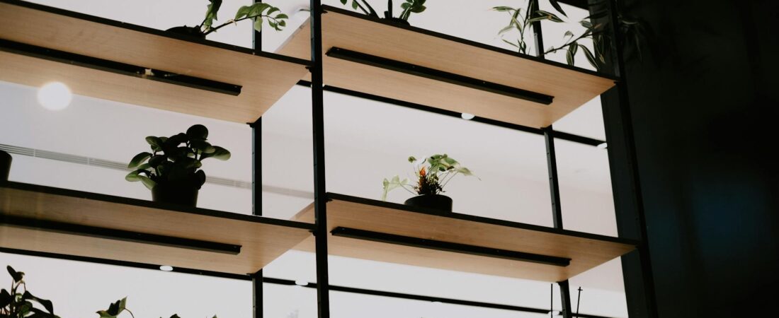 How to Build a Plant Shelf That Actually Keeps Plants Alive, Not Just Pretty