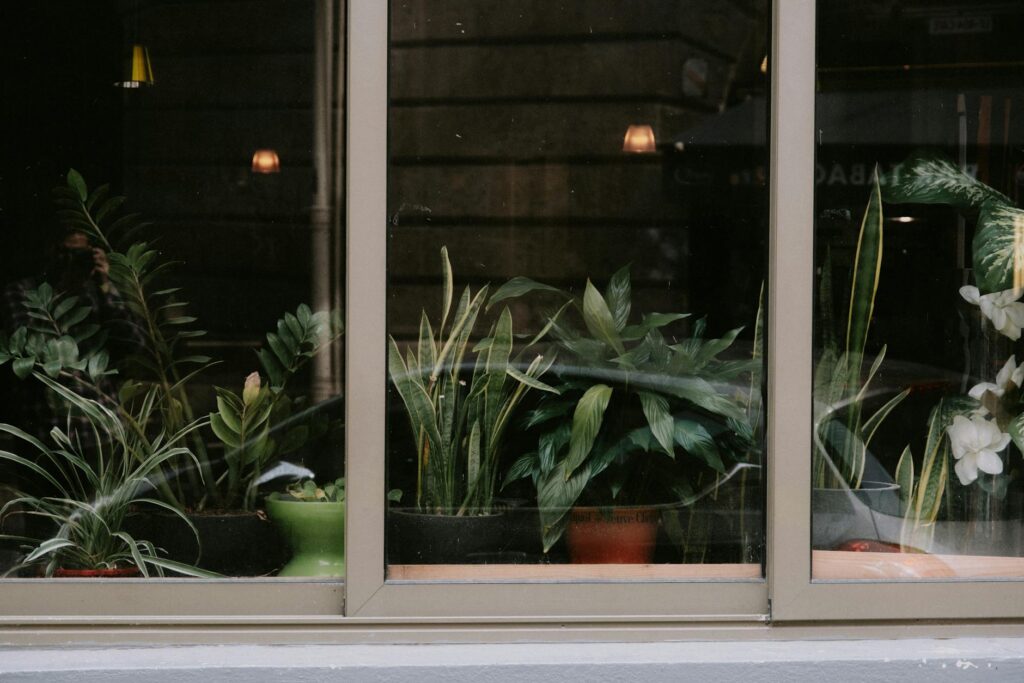 A small apartment shelf with a snake plant, ZZ plant, and pothos in simple pots.