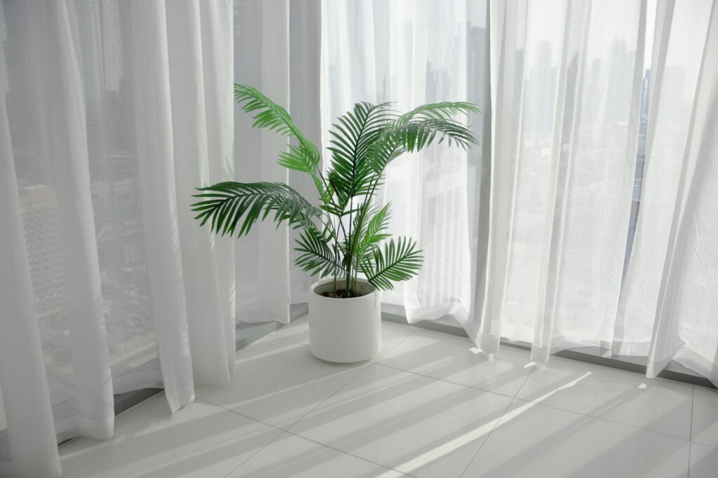 Grouped tropical houseplants arranged with space between them near a bright apartment window