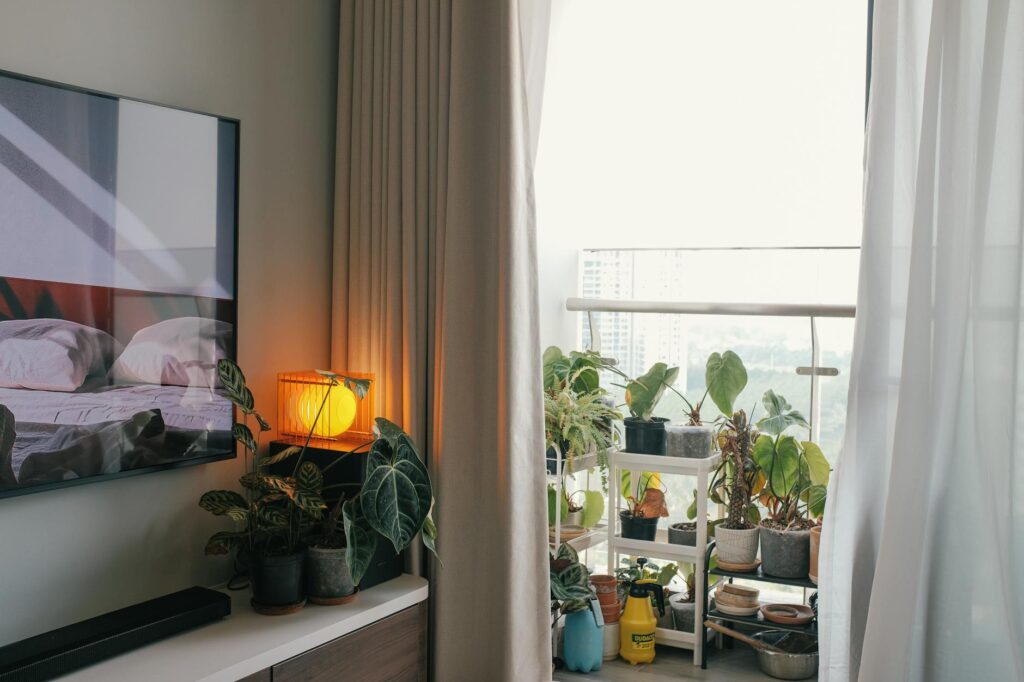 Houseplants placed at different distances from an apartment window