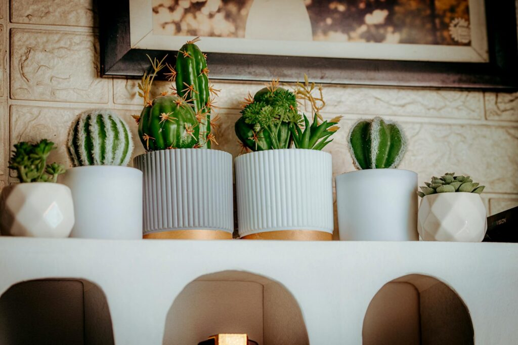 Houseplant shelf in a small apartment with a digital humidity monitor