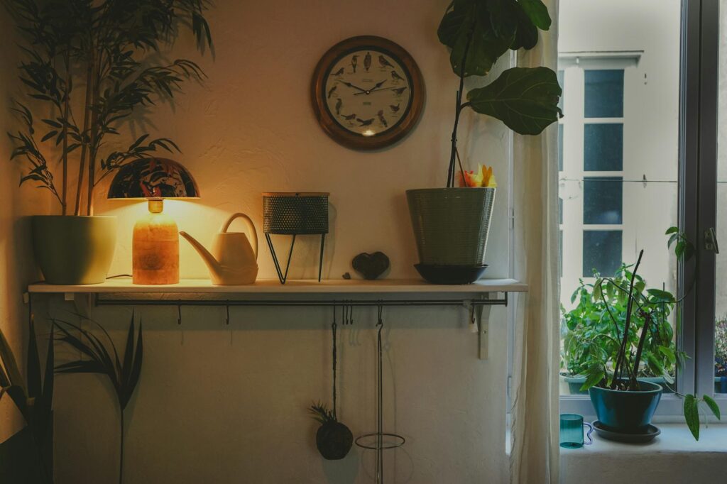 Indoor plants on a shelf near an apartment window with a humidity meter nearby