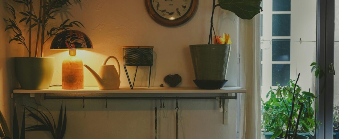 How to Keep Indoor Plants Alive in a Dry Apartment During Winter