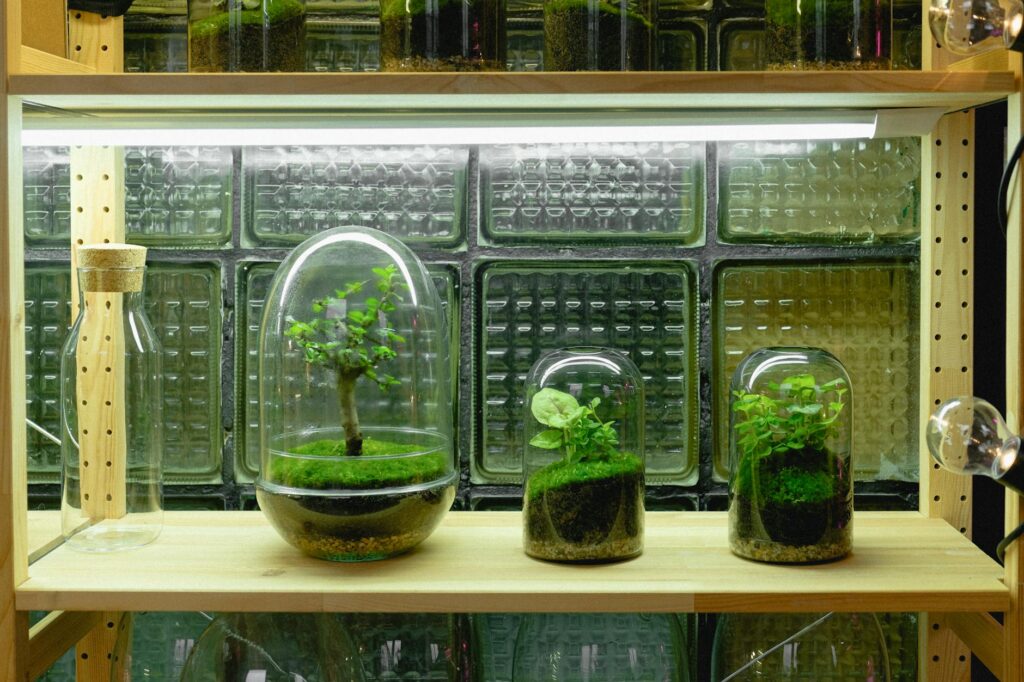 A small LED grow light clipped above a houseplant on a shelf