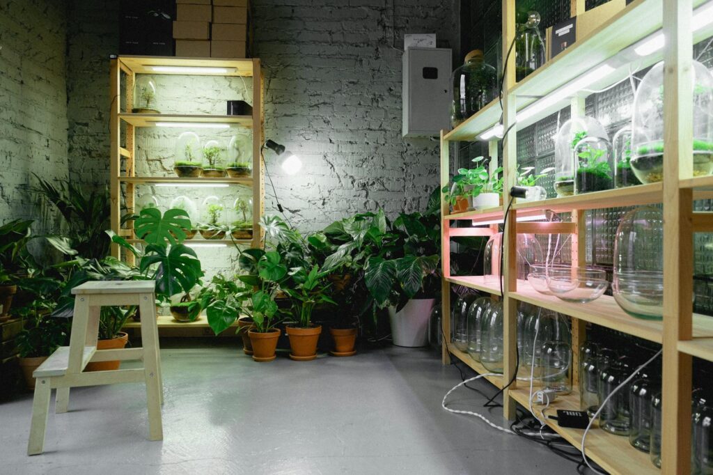 The lower tier of a plant shelf lit by slim LED bars connected to a simple timer.