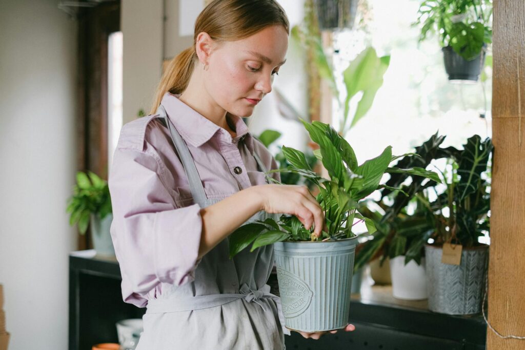 A hand checking soil moisture in a houseplant pot