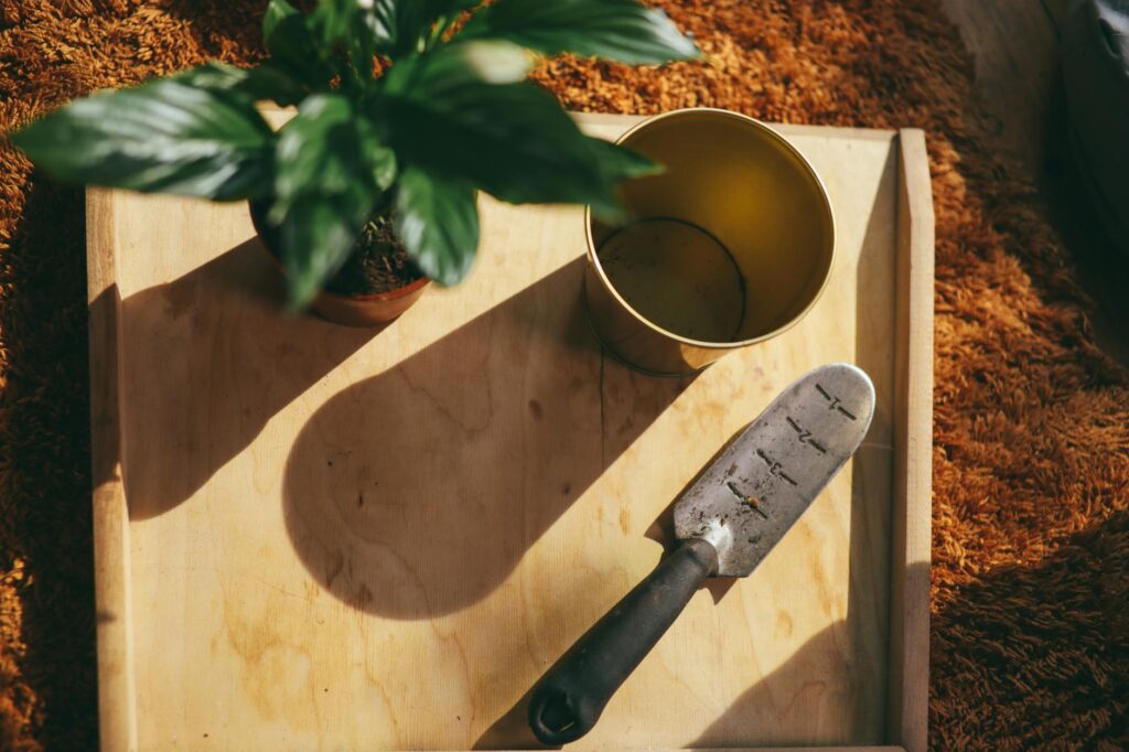 A clean tabletop with a potted plant, fresh potting mix, saucer, pruners, and a notebook for tracking care.