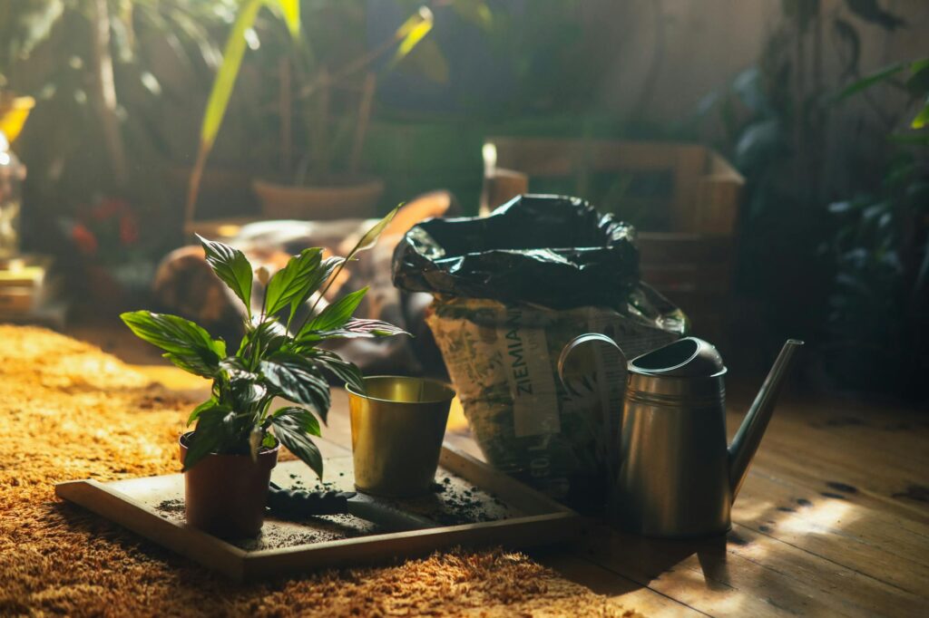 A tidy plant care setup with a notebook, watering can, and potting mix
