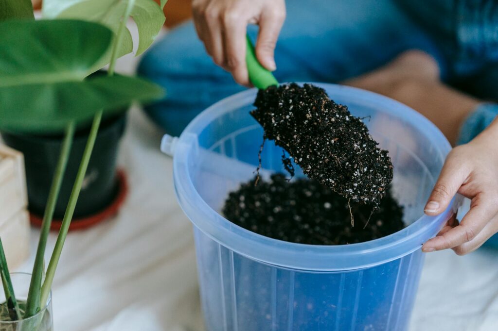 Fresh potting mix, perlite, and containers with drainage holes arranged for repotting