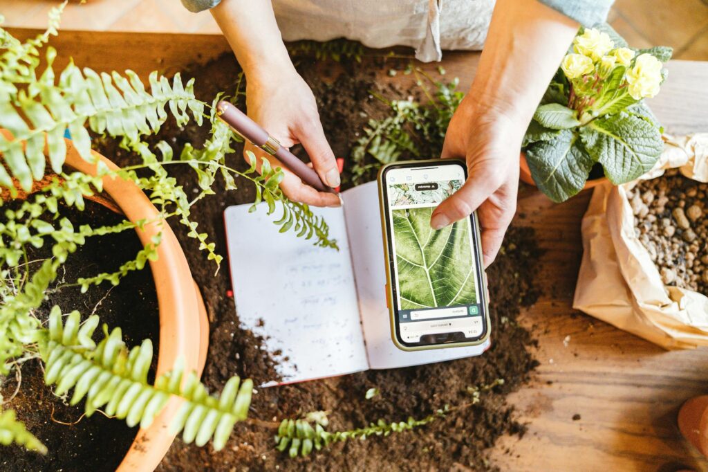 A simple houseplant care log next to three potted plants on a table