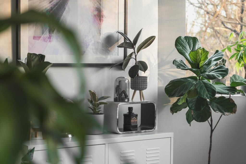 A small digital hygrometer sitting beside a potted houseplant