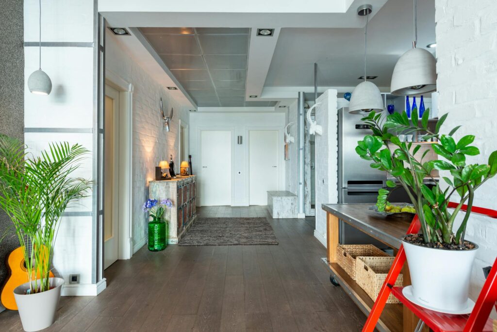 A cast iron plant placed in a softly shaded apartment entryway.