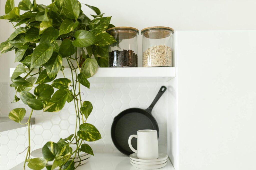 A trailing pothos and a compact plant placed near an apartment window with soft morning light.