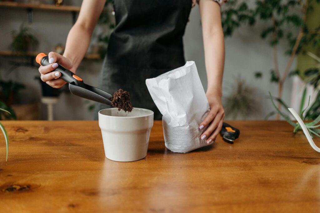 A houseplant being repotted with fresh potting mix and tools laid out neatly