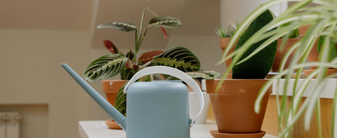 The Apartment Plant Mistake That Makes Healthy Leaves Turn Yellow